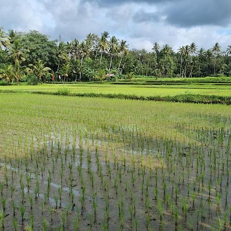 New 4 Bedroom Villa Surrounded By Jungle And Ricefields Ubud  Luaran gambar