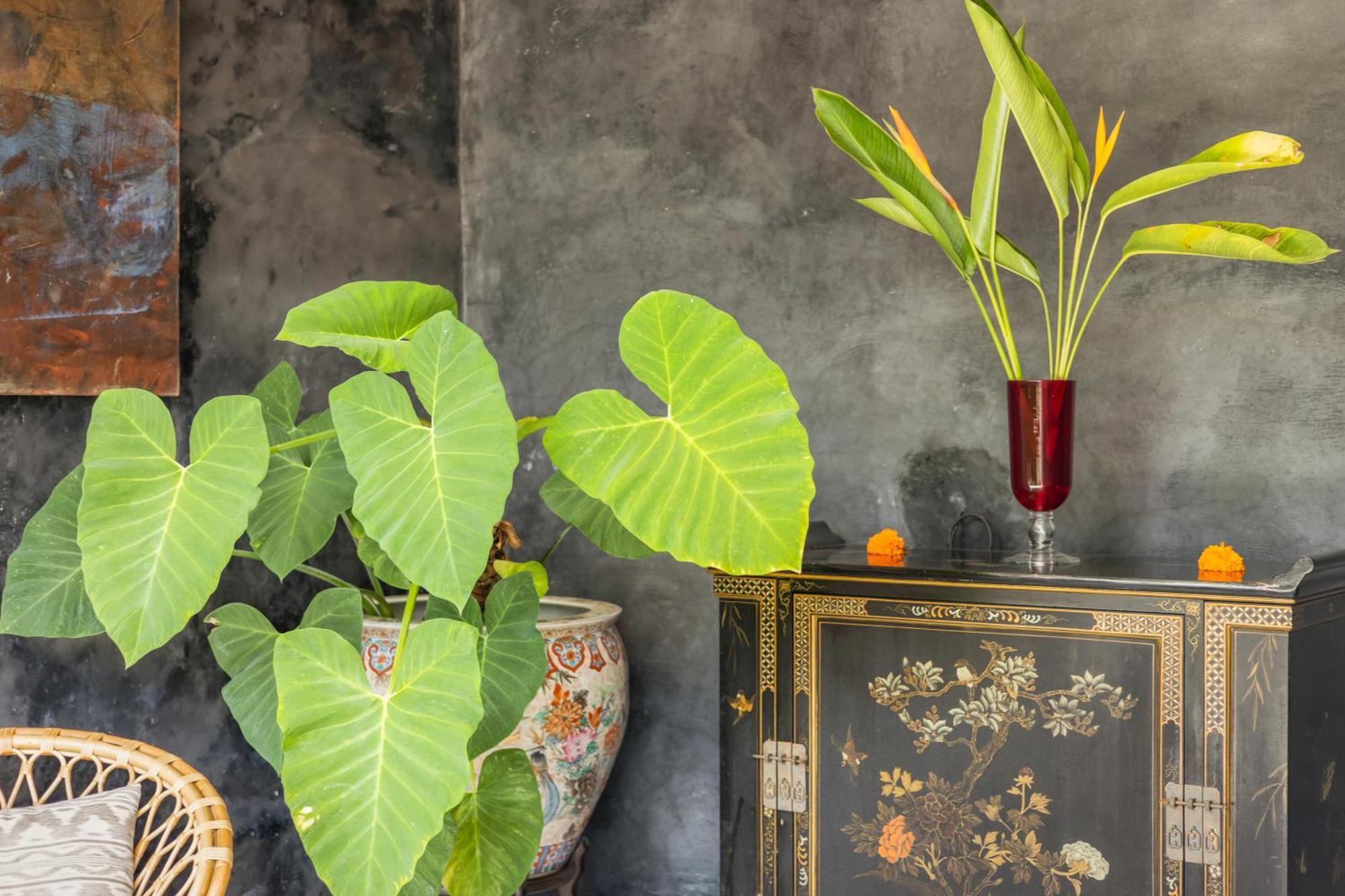 New 4 Bedroom Villa Surrounded By Jungle And Ricefields Ubud  Luaran gambar